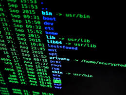 cyber insurance